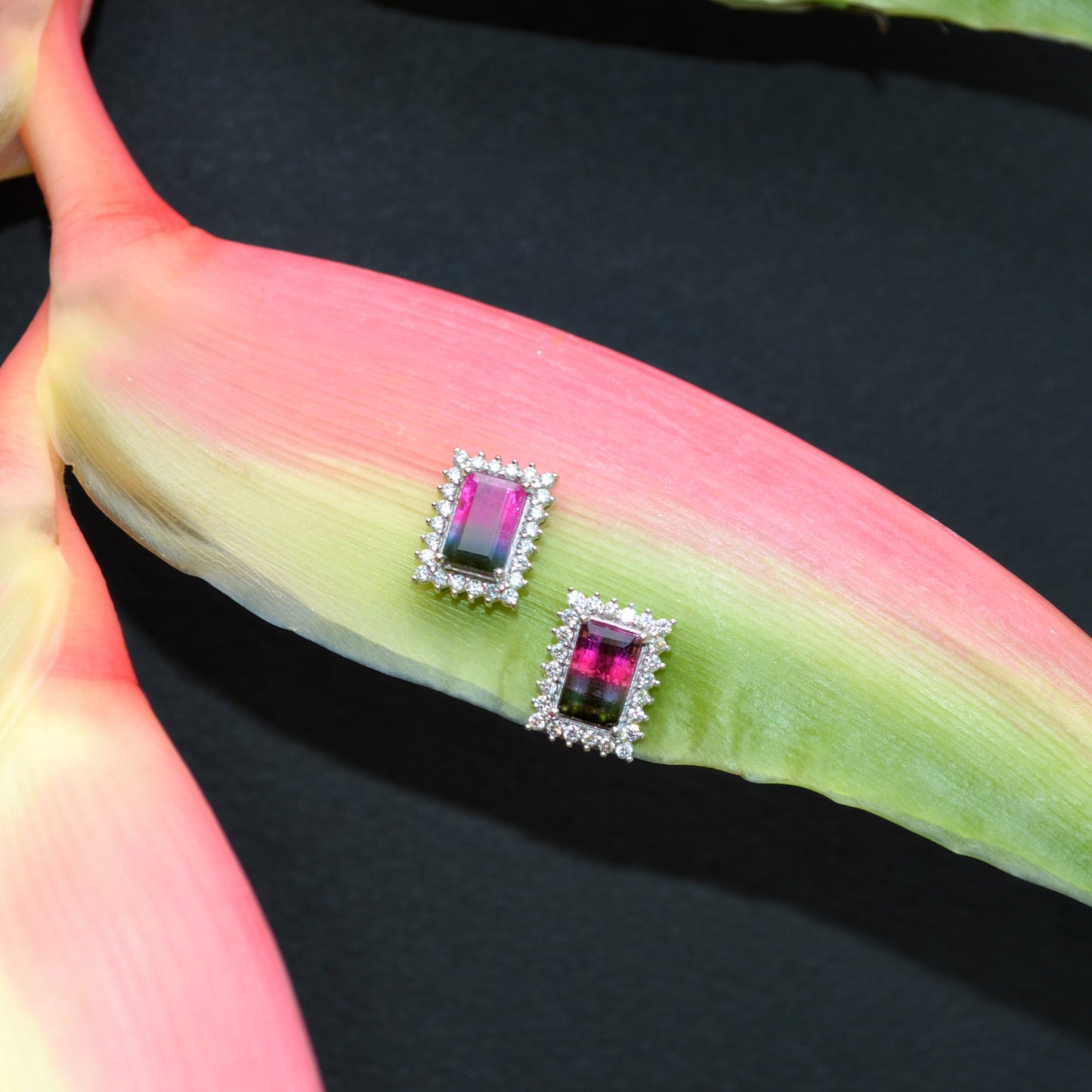 Aretes Turmalina Sandia