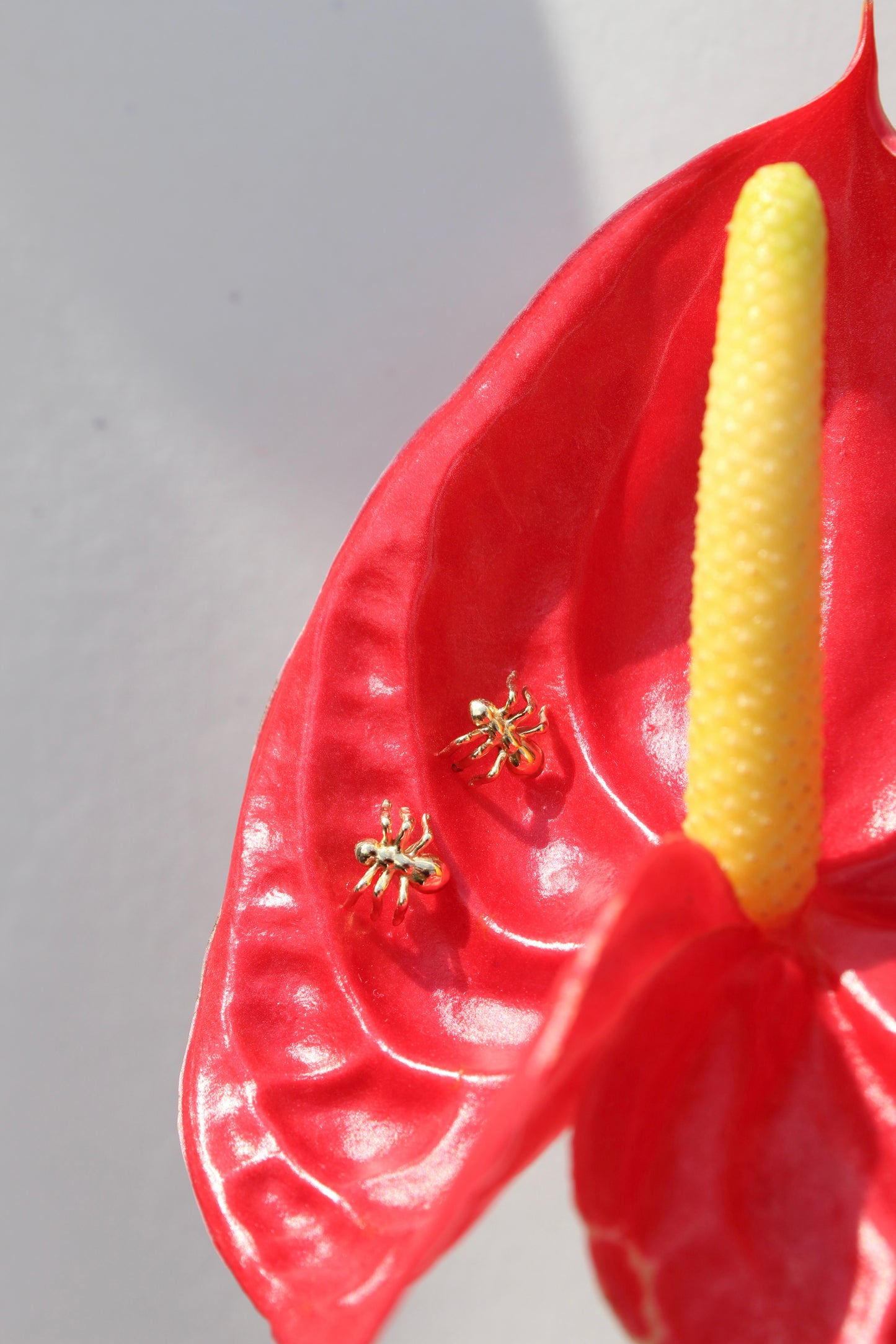 Aretes Hormiga