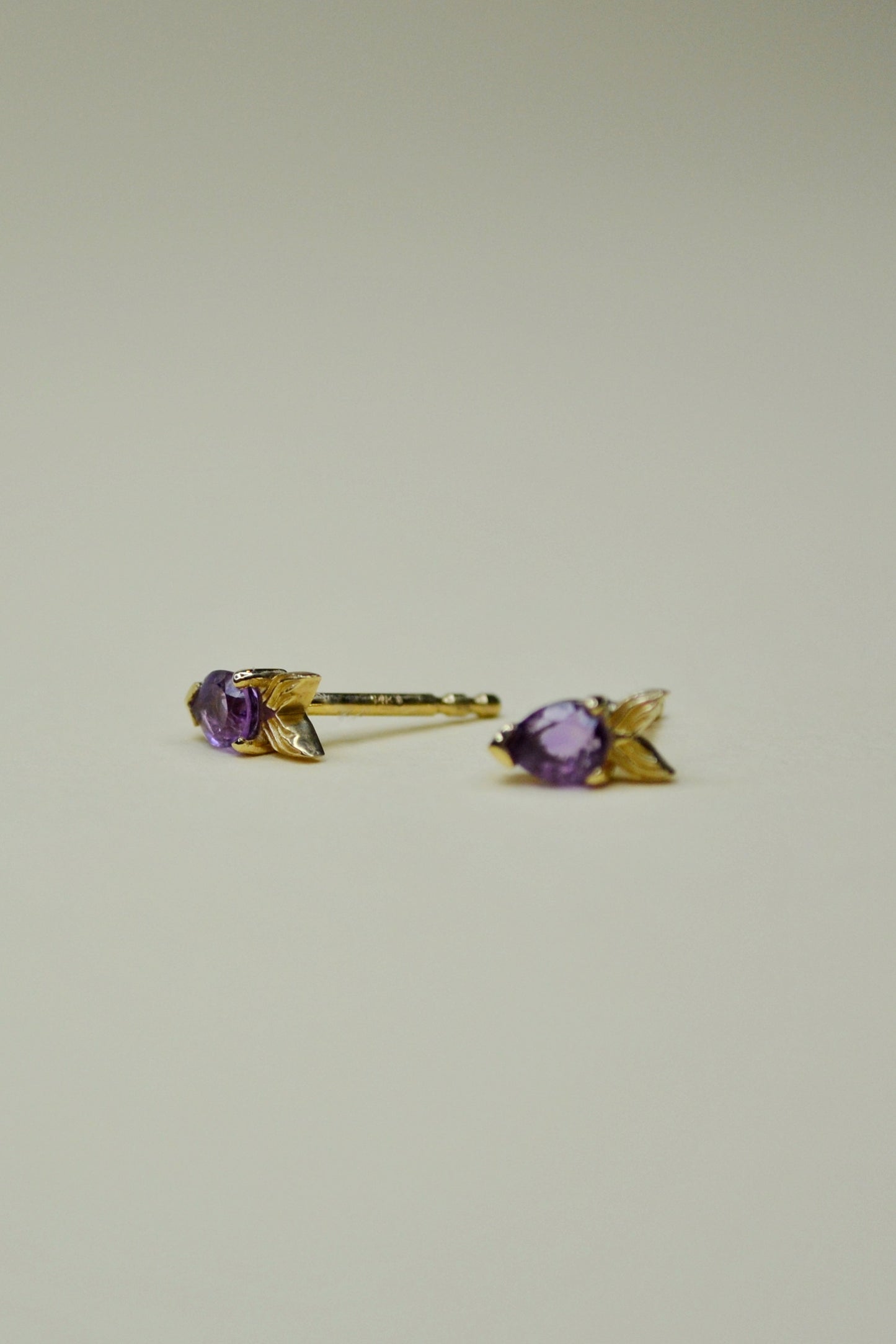 Aretes Pez