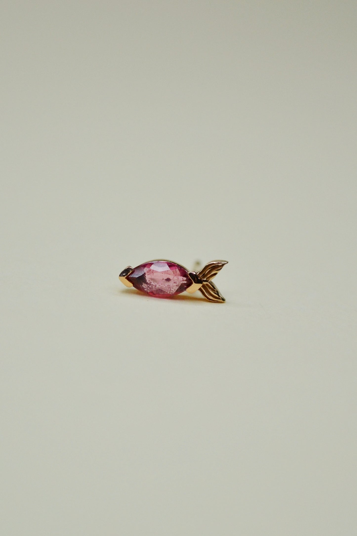 Aretes Pez