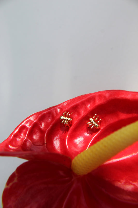 Aretes Hormiga