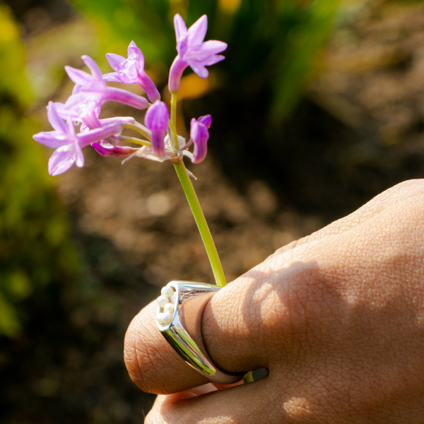 Anillo 'Pupae'